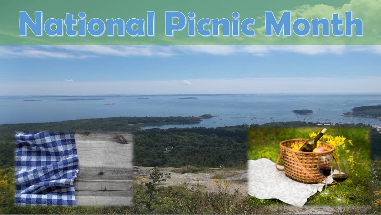 National picnic month in Maine
